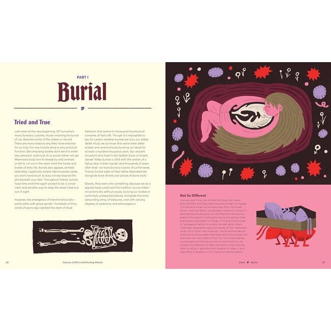 Curious Coffins and Riveting Rituals: Death Practices Around the World