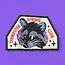 Street Rat Iron-on Patch
