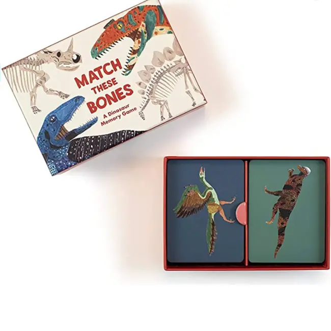 Match These Bones: A Dinosaur Memory Game