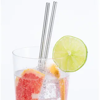 Stainless Steel Straws (10)