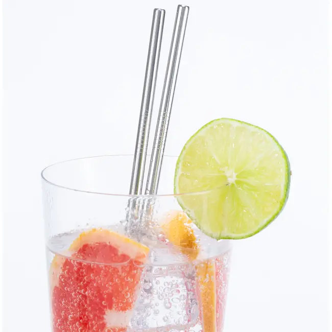 Stainless Steel Straws (10)