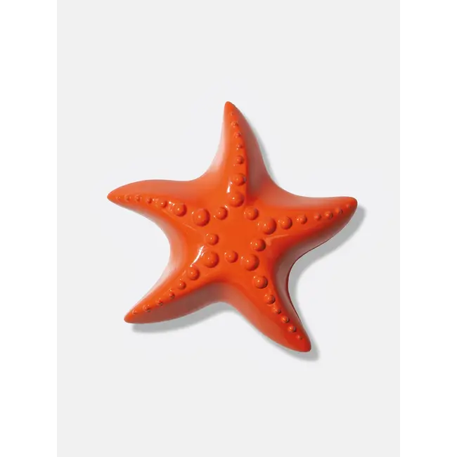 Ocean Dreams Starfish Bottle Opener