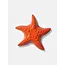 Ocean Dreams Starfish Bottle Opener