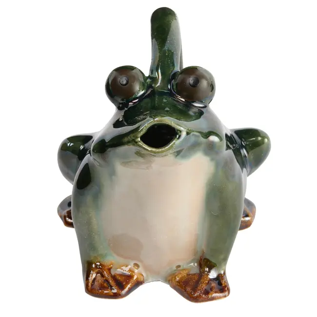 32oz Stoneware Frog Watering Pitcher