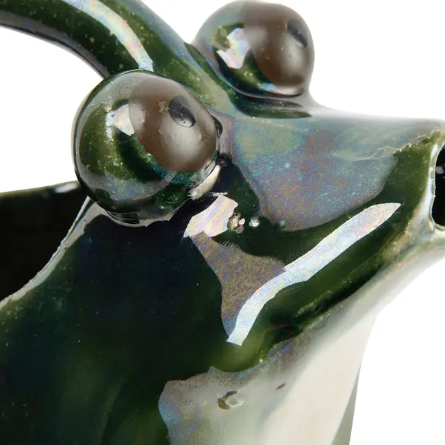 32oz Stoneware Frog Watering Pitcher