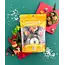 KidDough Play Kit: Forest Friends