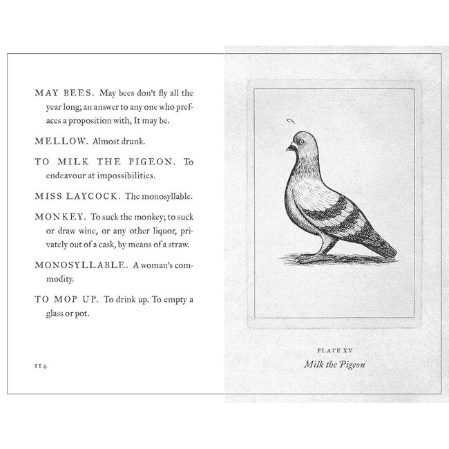 A Pocket Dictionary of the Vulgar Tongue