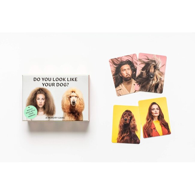 Do You Look Like Your Dog? A Memory Game