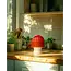Hallo Iceland Mushroom Cloche Candle