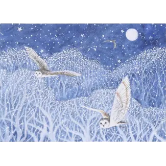 Owls in Flight Deluxe Boxed Holiday Cards