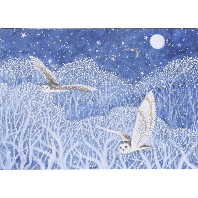 Owls in Flight Deluxe Boxed Holiday Cards