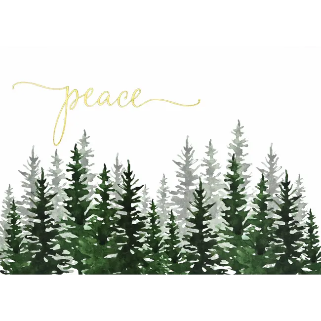 Winter Evergreens Deluxe Boxed Holiday Cards