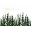 Winter Evergreens Deluxe Boxed Holiday Cards