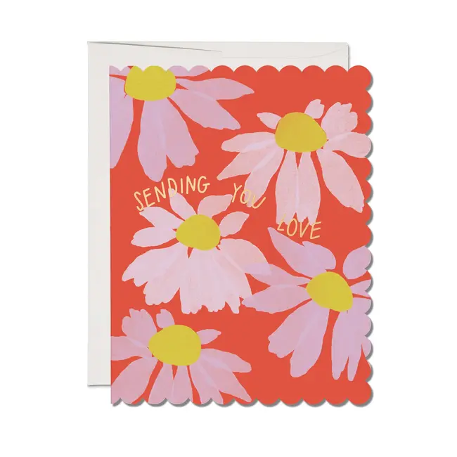 Scalloped Coneflower Sympathy Card