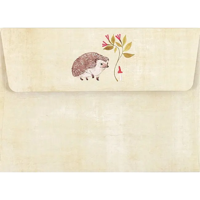 Hedgehog Notecards Boxed