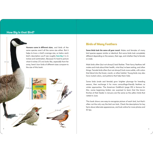 The Birder's Logbook: Seek and Sticker Book