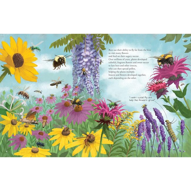 All The Insects in the World By David Opie