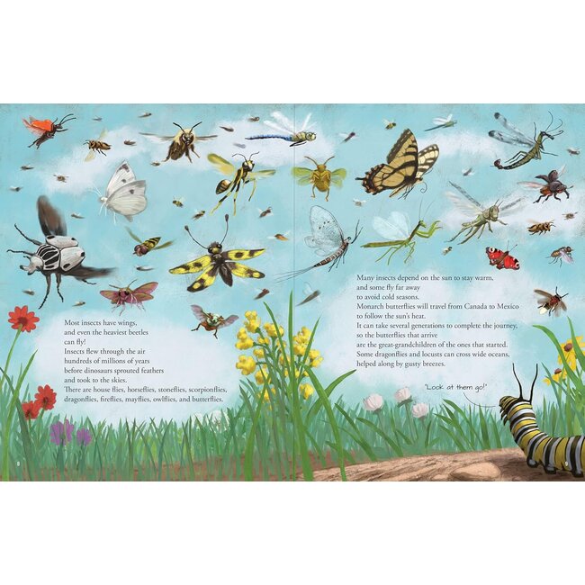 All The Insects in the World By David Opie