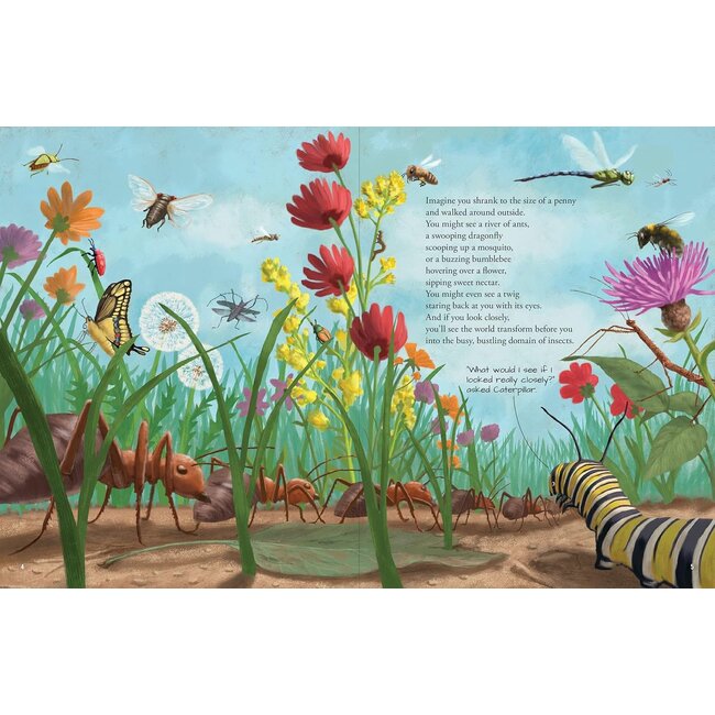 All The Insects in the World By David Opie