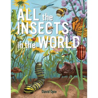 All The Insects in the World By David Opie