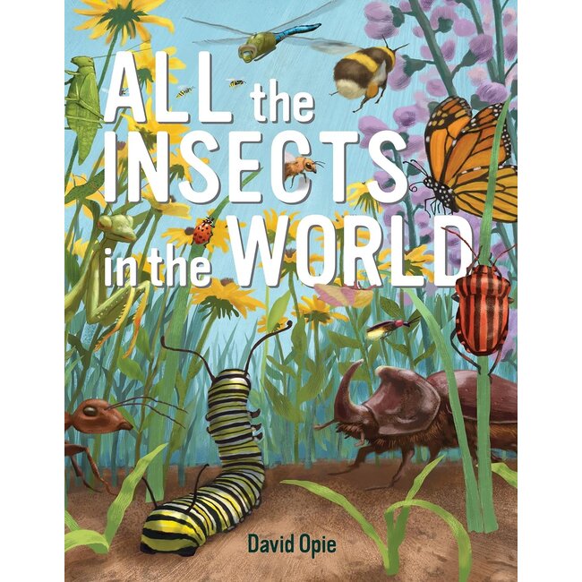 All The Insects in the World By David Opie
