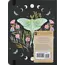 Luna Moth Journal