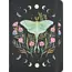 Luna Moth Journal
