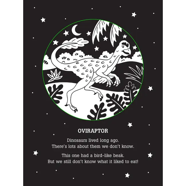 Shadow Book - Dinos After Dark