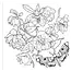 Goth Garden Adult Coloring Book