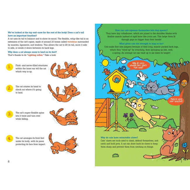 100 Questions About Cats