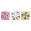 Joy LaForme Charm Cards Boxed