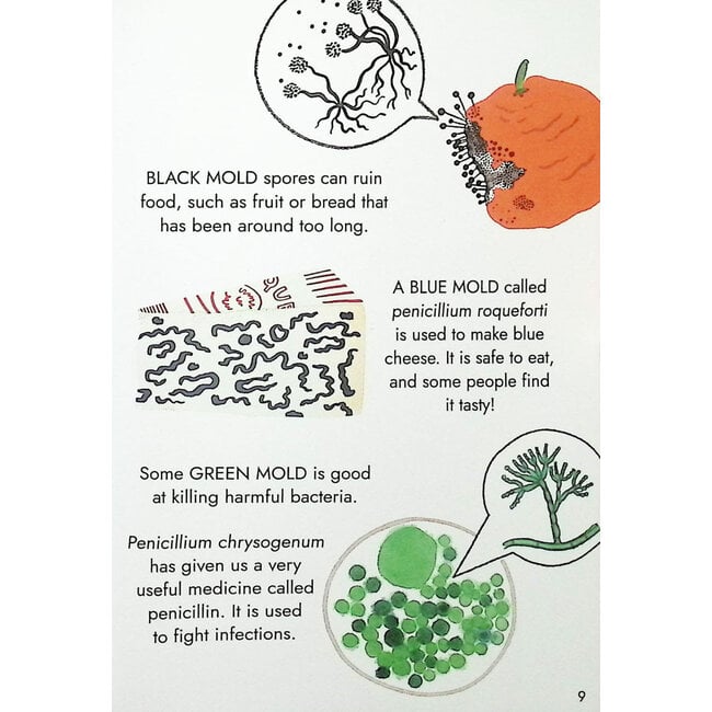 Hello Fungi: A Little Guide to Nature