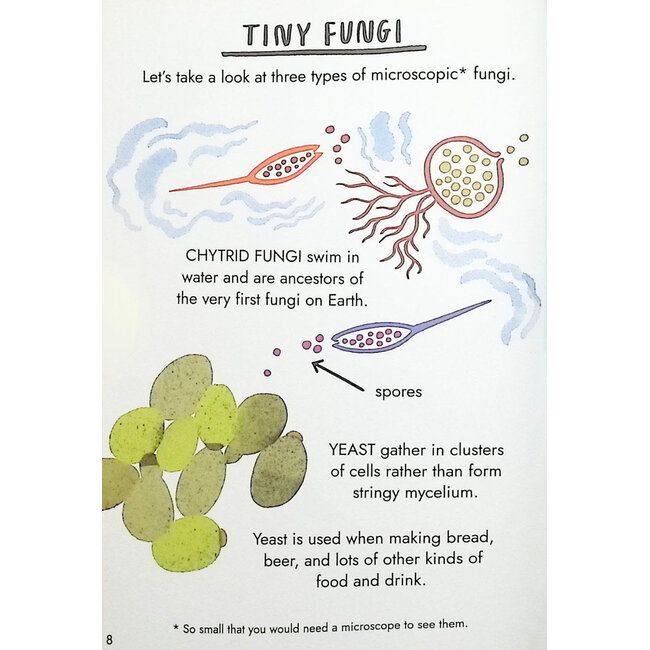 Hello Fungi: A Little Guide to Nature