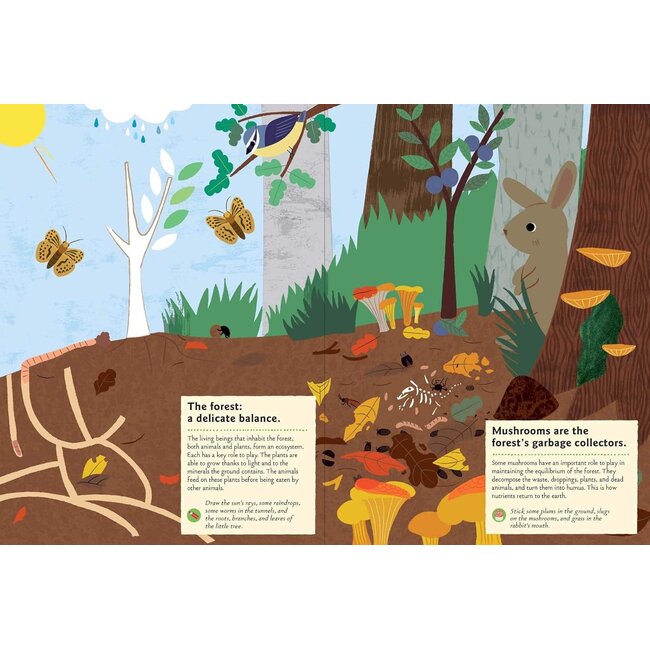 In The Forest My Nature Sticker Activity Book