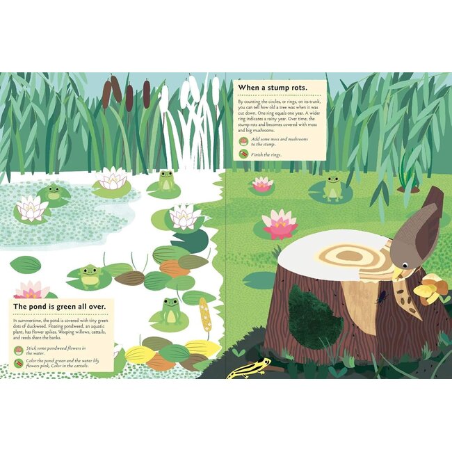 In The Forest My Nature Sticker Activity Book