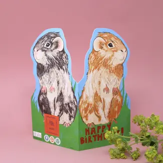 Guinea Pig Happy Birthday Card