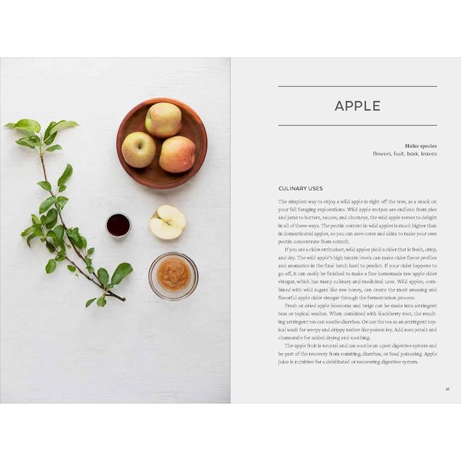 Urban Foraging: Find, Gather, and Cook 50 Wild Plants