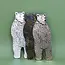 Bear Magnet