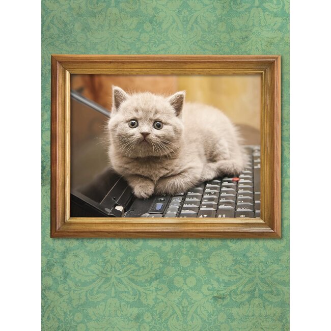 I Could Pee On This: And Other Poems by Cats