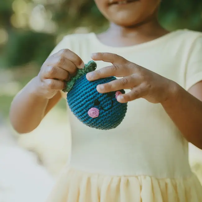 Plush Pretend Food Rattle - Blueberry