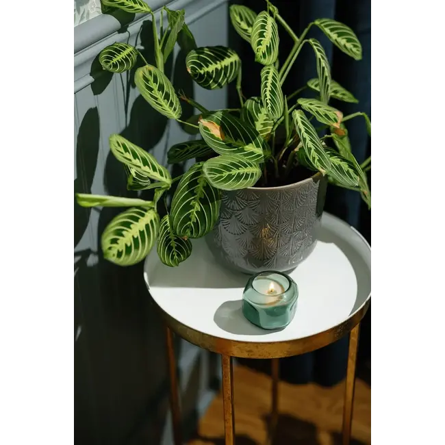 Basalt 5oz Glass Candle - Fresh Air & Sea Salt