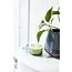 Bright Green Beam Glass Candle - Misted Lime