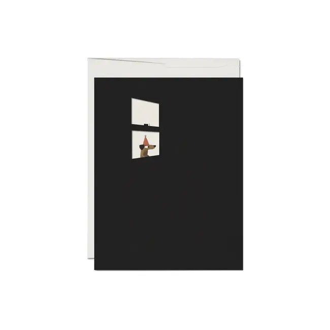 Everyone is Excited Card