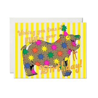 Star Hippo Birthday Card