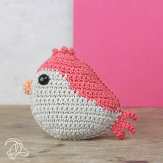 Crochet Kit - Red Bird