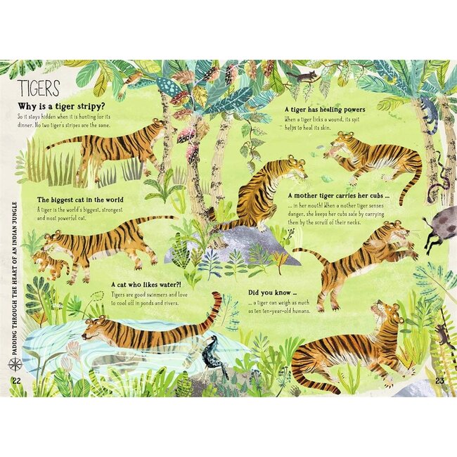 The Big Book of Beasts