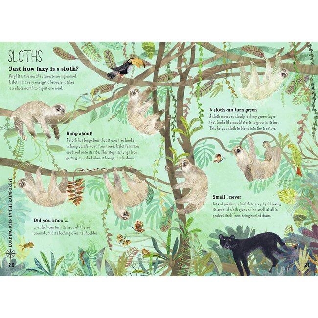 The Big Book of Beasts