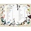 The Big Book of Birds