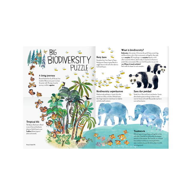 The Big Biodiversity Puzzle