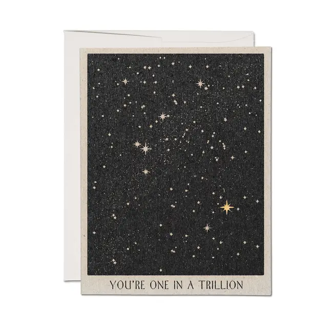 One in a Trillion Friendship Card